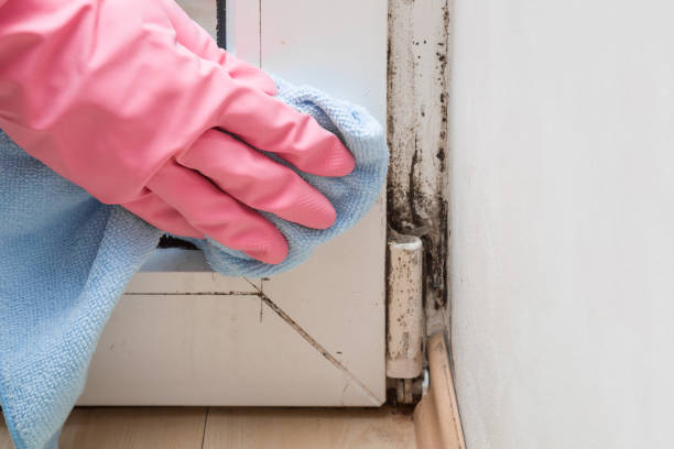 Best Mold Prevention Services  in Trappe, MD